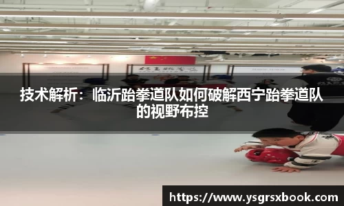 技术解析：临沂跆拳道队如何破解西宁跆拳道队的视野布控